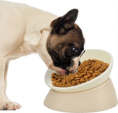 Liukumaton lemmikkieläinten syöttölaite vinolla ja kallistettavalla kulholla ranskanbulldoggeille, mopseille, litteäkasvoisille koirille ja kissoille
