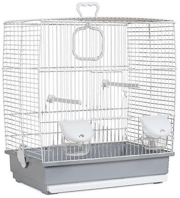 Lintuhäkki (linnut, häkit ja linnut, häkit)