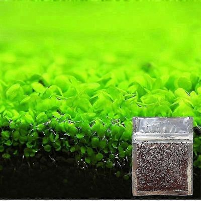 Akvaario koristekasvi siemenet kalasäiliö maisema koristelu vesi ruoho siementä helppo kasvattaa Big Leaf