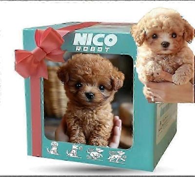 2025 Uusi robottikoira aikuisille, AI-robottikoira, Nicoo - Realistinen robottipentuni, joka käyttäytyy kuin oikea pentu - kävelee, haukkuu, heilut...