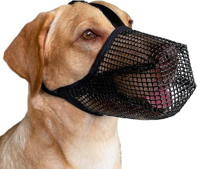 Frusde Hundmynning med justerbara remmar, mjuka nättäckta nosar för små medelstora hundar Svart M
