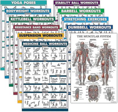 11 Pack - Øvelse Poster Set: Manual, Suspensjon, Kettlebell, Resistance Bands, Stretching, kroppsvekt, Barbell, Yoga, Treningsball, Muscular Syst