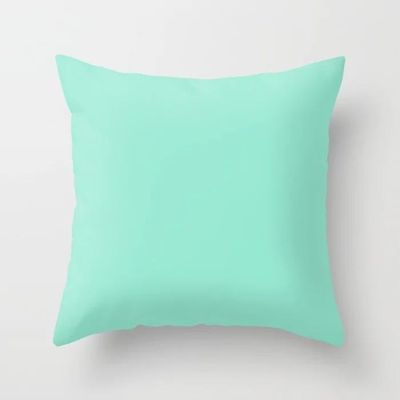 Witdreamer 45x45cm Solid Color pudebetræk pudebetræk 32