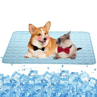 Eveltek Hund Køling Mat Sommer Ice Silk Pet Cool Bed Hunde Katte Kennel Pad Lyseblå 40x30cm