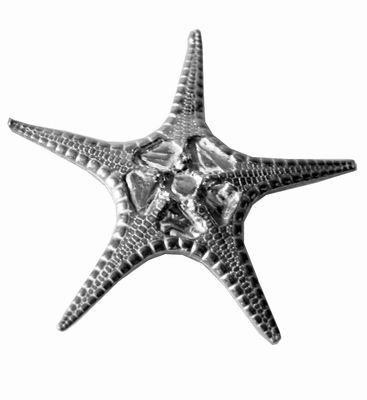 Wentworth Støbt tin Lille Fancy Søstjerne Ornament - JK30S