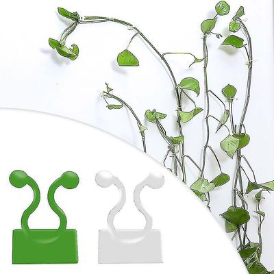 usynlig plante klatring armatur klipp rotting vegg fast krok Hvit 50pcs M