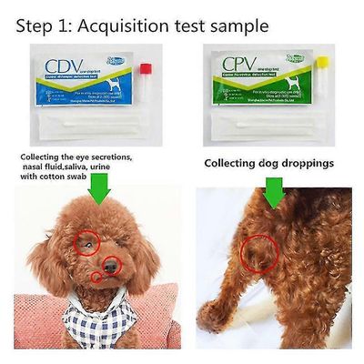 Koiran penikkatauti koiran virus Cdv / cpv Home Nenän terveystesti paperin havaitsemistyökalu (koko: cdv)