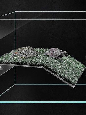 Heker Turtle ramp-kilpikonna paistattelualusta-akvaario kilpikonna kilpikonna kiipeilyalusta elävä ruoho tikkaat S