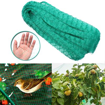 Liltop Have Dam Netting Planter Frugt Protection Mesh Anti Bird Net Veg Afgrøder Grøn 2*10M