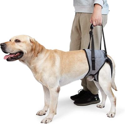 Hundeslynge til store hunde Bagbenstøtte for at hjælpe med at rehabilitere bagbenene hos ældre hunde med svage bagbenshandicap S