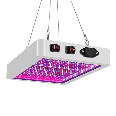 3000w Led kasvaa kevyt hydroponinen täyden spektrin sisävihanneskasvien teltta Lamp-E US Plug 1000W-216LEDs