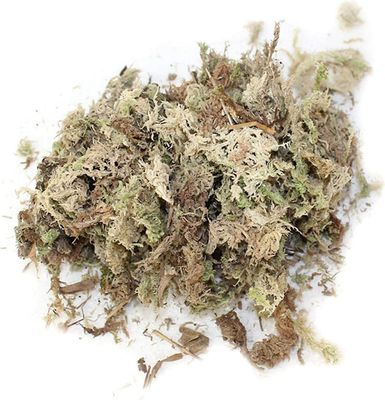 Tuore sphagnum sammal, luonnollinen sphagnum sammal kuivattu orkideoille, trooppisille kasveille vesi sammal kuiva sammal phalaenopsis-orkideat maa...