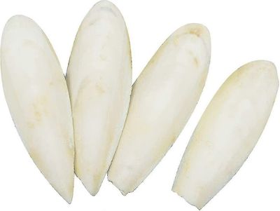 4 kpl seepia luu (13-16cm), linnut papukaijat purulelut linnut purulelut luonnollinen halailu luu papukaijoille häkki linnut matelijat kilpikonnat ...