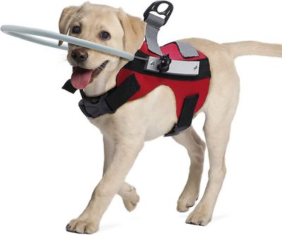 Sunset Blind Dog Harness Guiding Device, blind Dog Halo, kjæledyr Anti-kollisjon Ring for å beskytte katter og hunder med blindhet, tåkesyn rød M