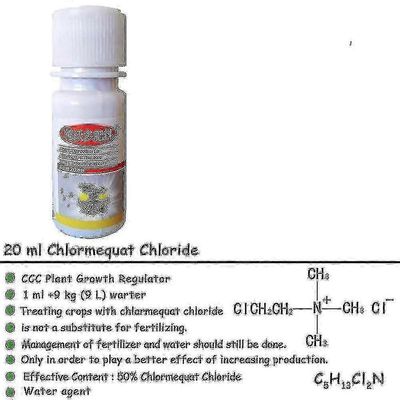 Syklonikloorimekvaatti kloridi tukilannoitetta kasvien kasvuun 4PCS