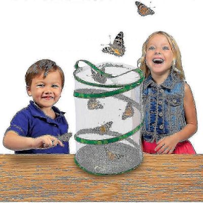 Perhonen ja toukat Elinympäristö , Life Science ja Koulutus