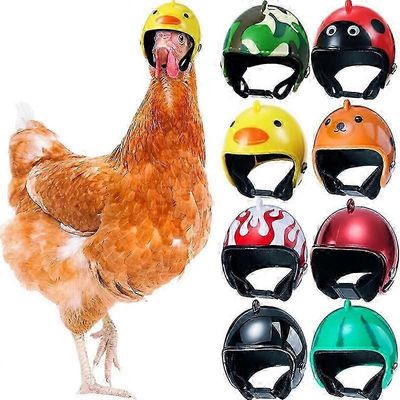 12 kpl Chicken Helmet Chicken Bird Toy Funny Pet Safety Helmet Päänsuojapuvut Tarvikkeet Chicken Birdille