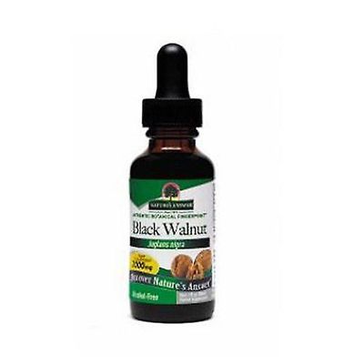 Nature's Answer Luonnon vastaus Musta Saksanpähkinän kuoret Alkoholiton uute, 1 Oz (pakkaus 1)