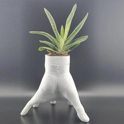Tianzun Keskiviikkoisin Addams Hand Palm Planter, Kukkaruukku Mehevä istutuskone, Hartsikaktusistutuskone, Hartsikukkaruukku Valkoinen