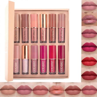 12 väriä Matta nestemäinen huulipunasetti, Super Stay Liquid Velvet Lipstick Non-Stick Cup vedenpitävä pitkäkestoinen huulikiiltosetti
