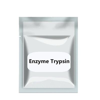 Høj renhed enzym trypsin 500g