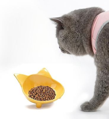 Kattefoder fodring skål gul