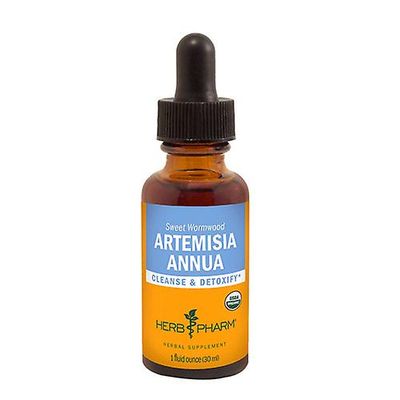 Herb Pharm Yrtti Pharm Artemisia Annua Extract, 1 Oz (1 kpl pakkaus)
