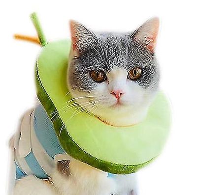 Yunshu Kat krave avocado bagel kat kæledyr hovedbeklædning anti-lick ring M