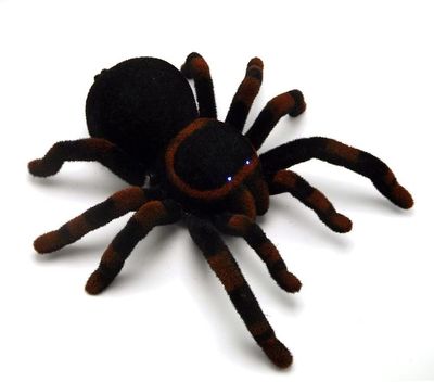 Grape Pp Spider Toy Kæmpe fjernbetjening Edderkopper, Køretøjsbil Elektrisk legetøj