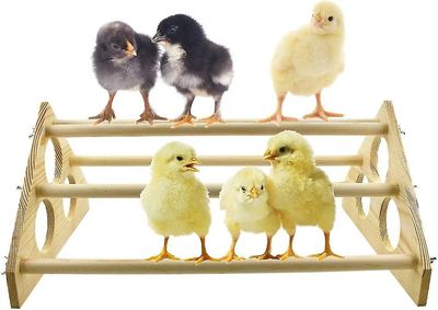 Tianzun Chick abbor Sterk Wooden Jungle Gym Roosting Bar, Chicken Leker For Coop og brooder For Baby Chicks El Pollitos