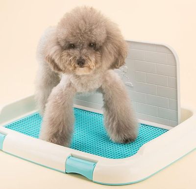Ruili Indendørs pet hvalp Toilet Doggy Uddannelse Potte Patch Training Pad med væg Blå