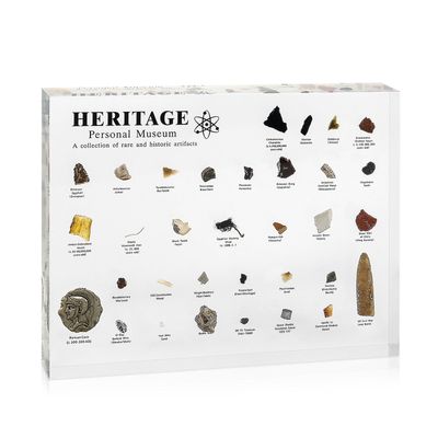 Heritage Personal Museum Mini Resin Natural History Museum Display med ægte prøve fra forhistorisk som vist