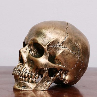 Human Bronze Resin Skull Model Medical Halloween Realistisk 01:01 Statue Dekor Gull 1 Pcs