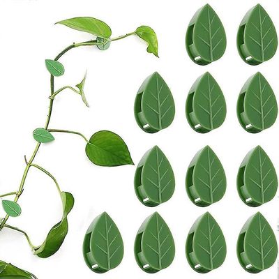 Pakkaus 50 itseliimautuvaa kasvipidikettä Kasviliitin Pidike Kiipeilykasvit Kiinnitysseinä Kasvipidikkeet yhteensopivat Tukee istutusta