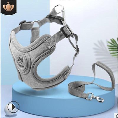 Hengittävät koiranvaljaat hihnalla, heijastavat Oxford-liivit koirille, säädettävä koko, pienille ja keskikokoisille koirille harmaa XS with Leash