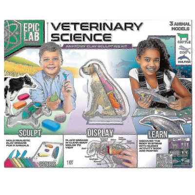 Artskills Eläinlääketiede Eläinten anatomia Varsi, 1 ea