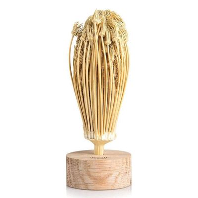 Rivsalt Luonnolliset hammashoidot Marokosta Beige 15 x 4 x 4 cm