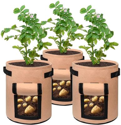 Xqday Kartoffel vokse poser 7 gallon vegetabilske plantageejer med håndtag nonwoven stof voksende beholder åndbar plantetaske til grøntsager Kartof...