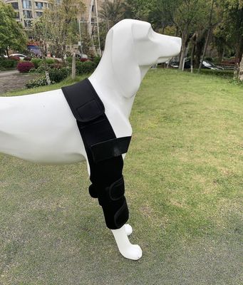 Hund Knestøtte Skader Benstøtte Kirurgisk Felles Wrap Hund Hund Foran Ben S