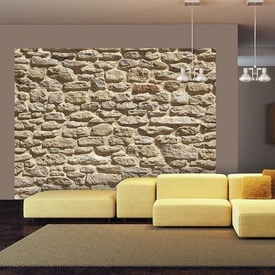 IlyDecor Carta da parati effetto pietra - Vecchio muro di pietra 350x270