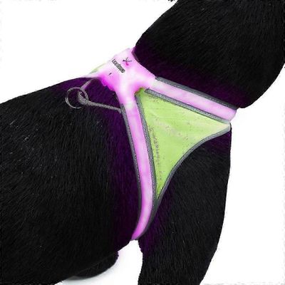 Noxgear Lighthound 360 näkyvyys monivärinen heijastava led-koiran valjaat Vihreä S
