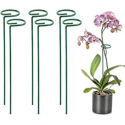 Tianzun 6 pakkauksen kasvien tukipanokset, puutarhan yhden varren kukkakasvien tuki, yhden varren tukipaalukasvien häkin tukirengas 6 Pcs 40cm