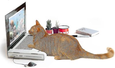 Cat Scratcher kannettava tietokone, Cat Scratch Pad kannettava tietokone pörröisellä "hiirellä" interaktiiviset kissan lelut, Kitten Cat Scratch Pa...