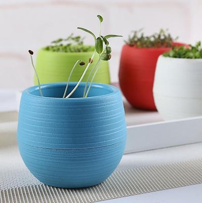 Ruili Candy Color Desk Mini Flower Pot Diy med farve Jord farve Slik Farve Cute Mini Flower Pot blå