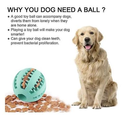 Handuo Hund Educational Chew Legetøj til rengøring af små og store hvalp tænder blå