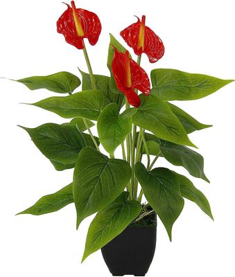 Plante d'anthurium artificielle en pot Fleur de flamant exotique d'Anthurium Fleur de flamant Plante exotique fleurs rouges Plante de flamant Plante