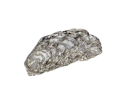 Wentworth Støbt tin østersskal ryg ornament - JK01B