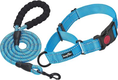 SQCLV 2 pakker Martingale hundehalsbånd med hurtigspenne reflekterende hundetreningshalsbånd for små mellomstore hunder Blå M