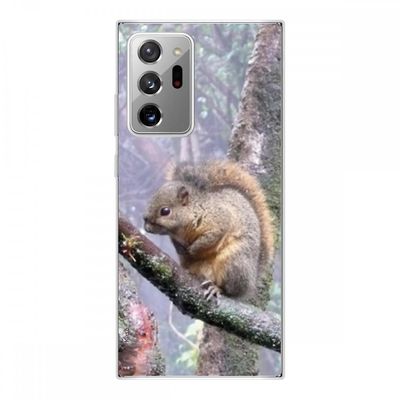 Crazy Kase Hull Til Samsung Galaxy Note20 Ultra i silikone fleksibel 1 Mm, Egern
