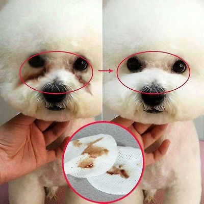 Mikasa Pet Hunde / katte Øjne Rengøring Vådservietter-Tear Stain Remover Papir Tissue